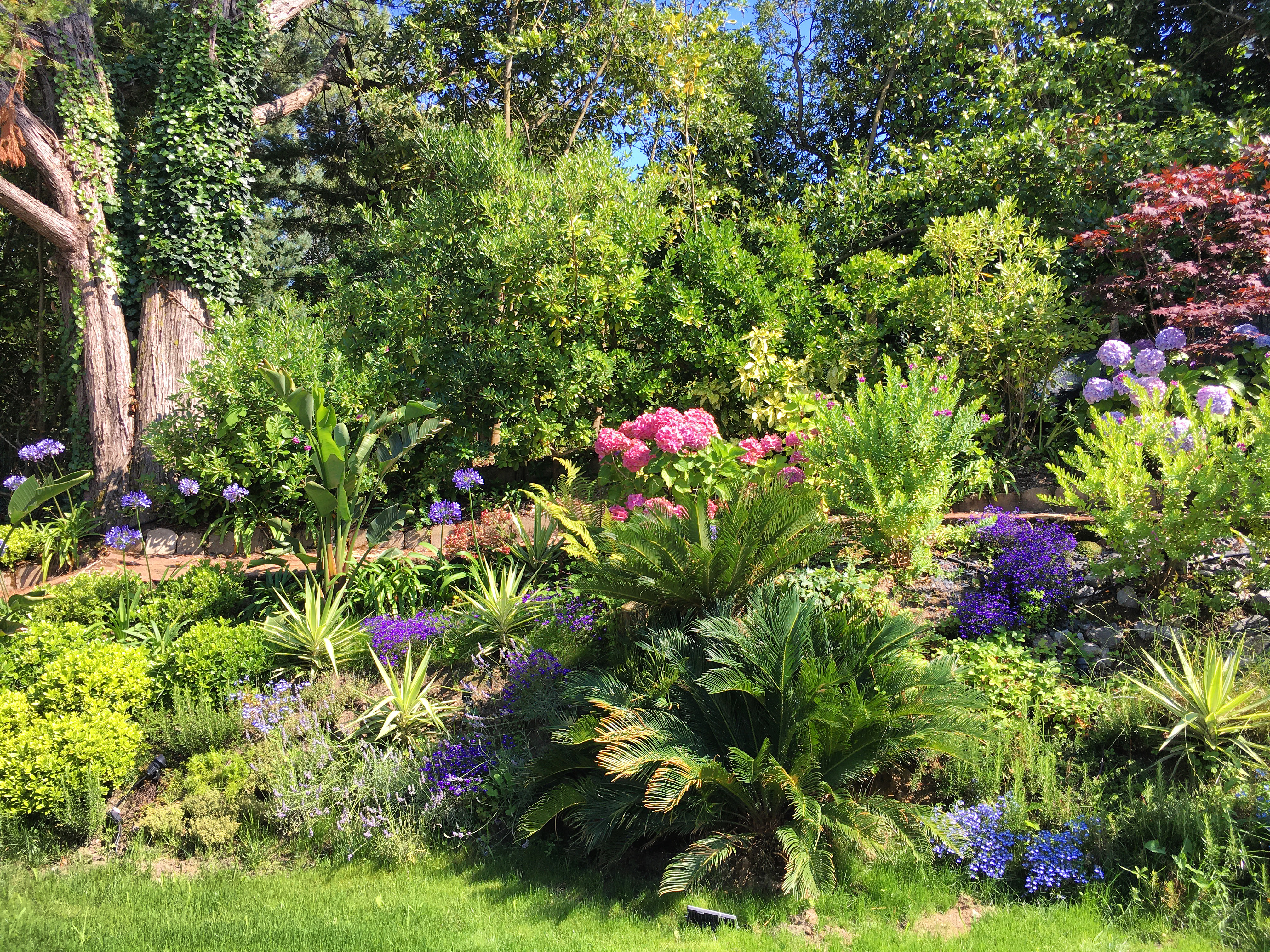 sebastien habert paysagiste luxe biarritz haut de gamme paris