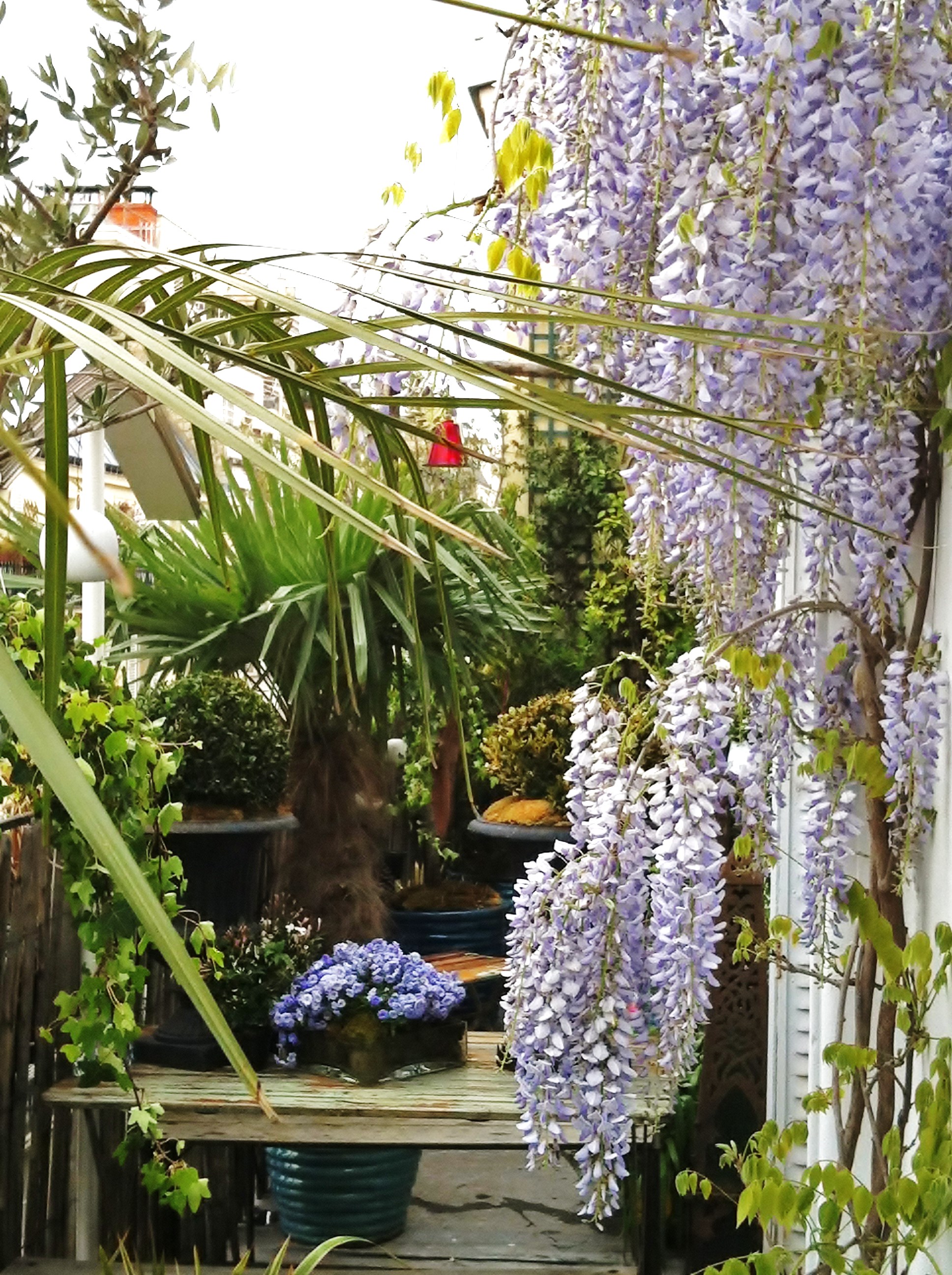 paysagiste d'excellence luxe paris sebastien habert terrasse prestige