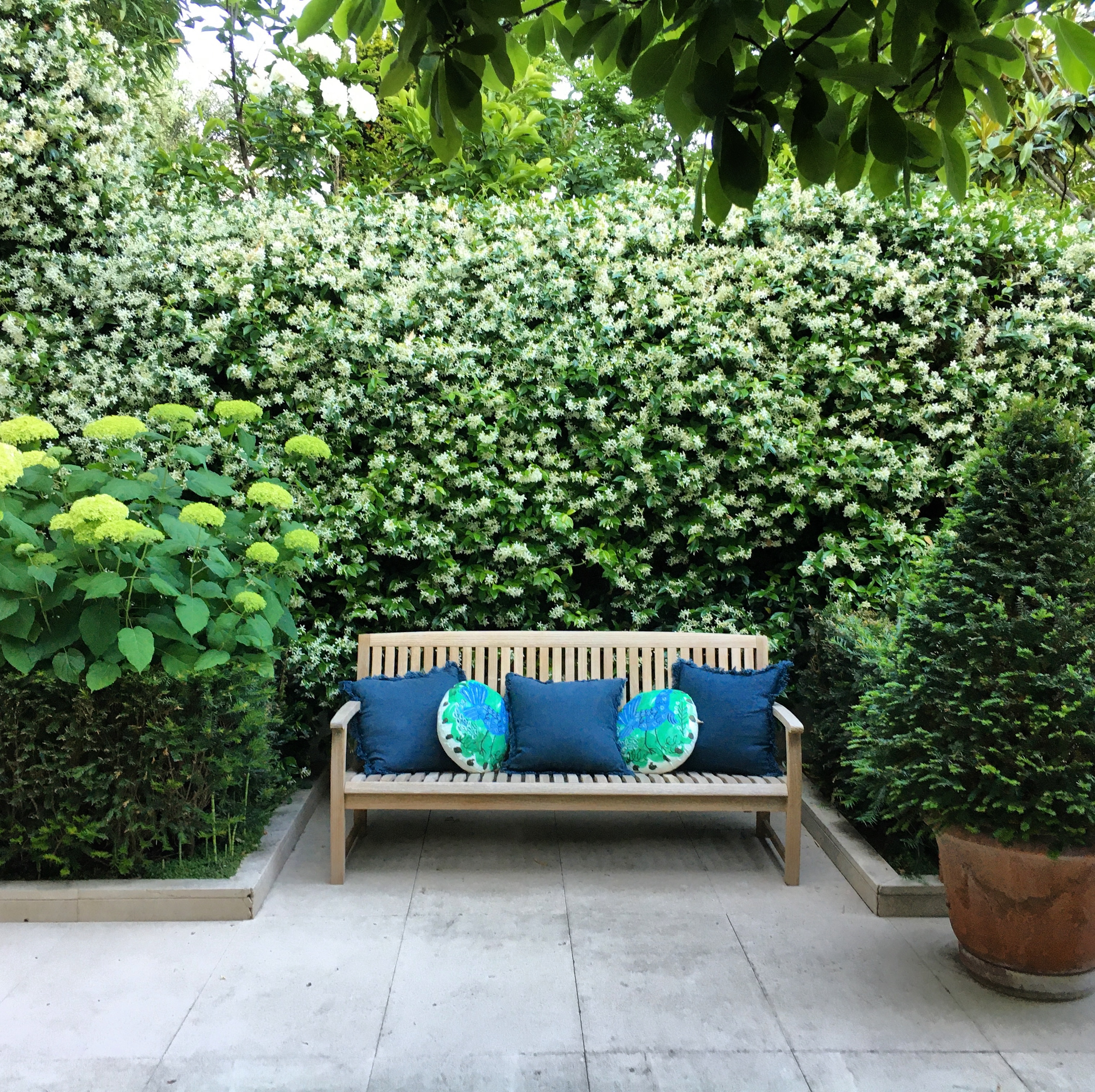 lpaysagiste luxe paris paysagiste luxe biarritz terrasse haut de gamme jardin  prestige biarritz sebastien habert le design en pleine nature.jpg