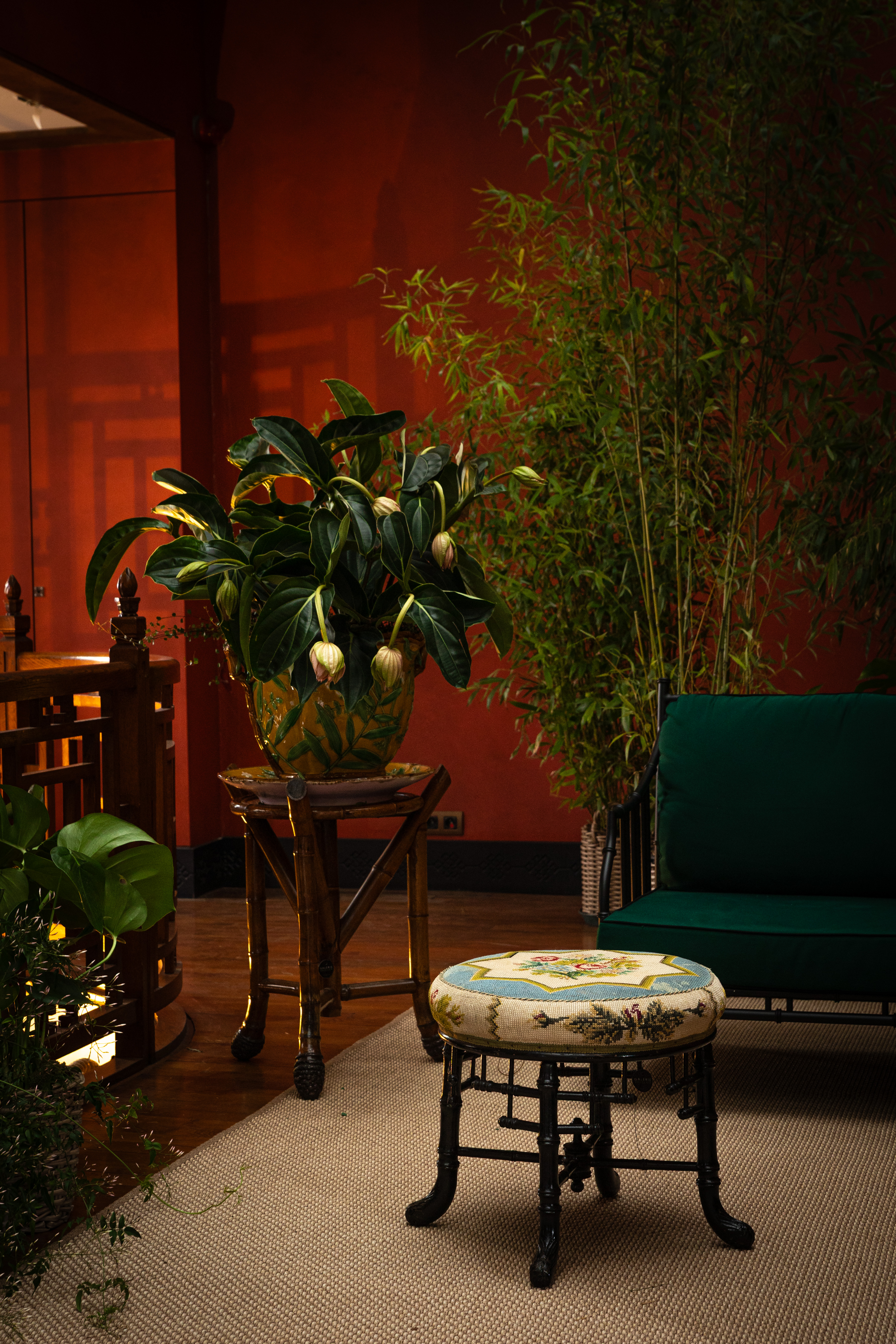 scénographie végétale paysagiste luxe paris paysagiste luxe biarritz terrasse haut de gamme jardin  prestige sebastien habert SEBASTIEN HABERT PAYSAGISTE LUXE DESIGN FLORAL SCENOGRAPHIE FLORALE FLOWER EVENT .jpg