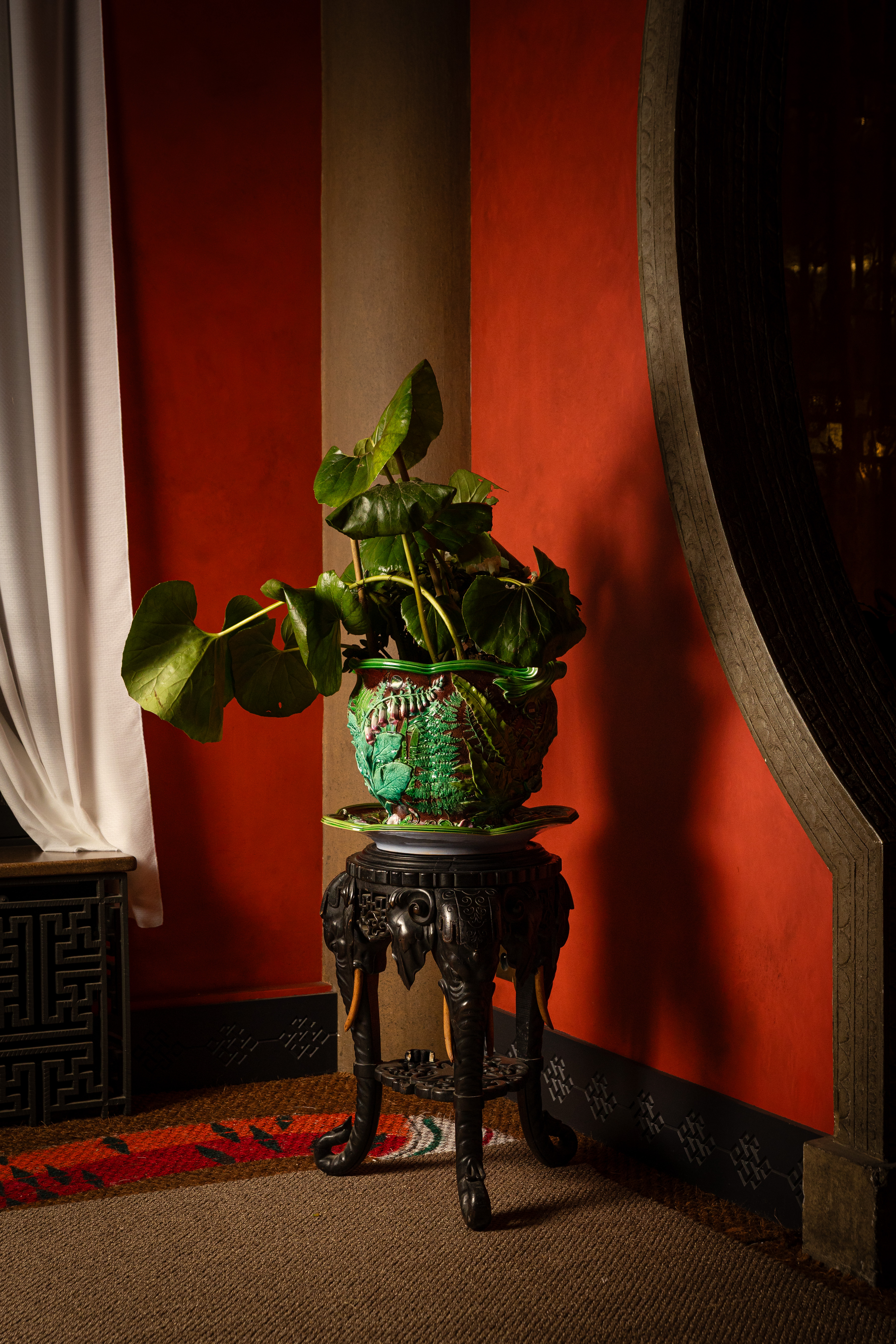 scénographie végétale paysagiste luxe paris paysagiste luxe biarritz terrasse haut de gamme jardin  prestige sebastien habert SEBASTIEN HABERT PAYSAGISTE LUXE DESIGN FLORAL SCENOGRAPHIE FLORALE PARIS FLOWER EVENT .jpg