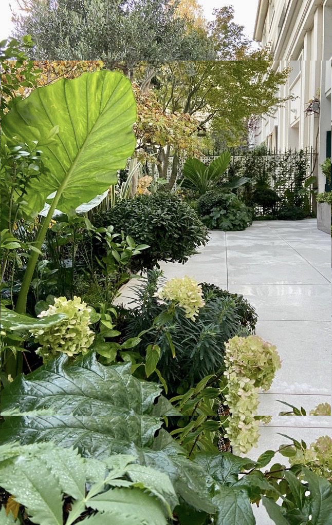 paysagiste d'excellence luxe paris jardin haut de gamme terrasse prestige sebastien habert