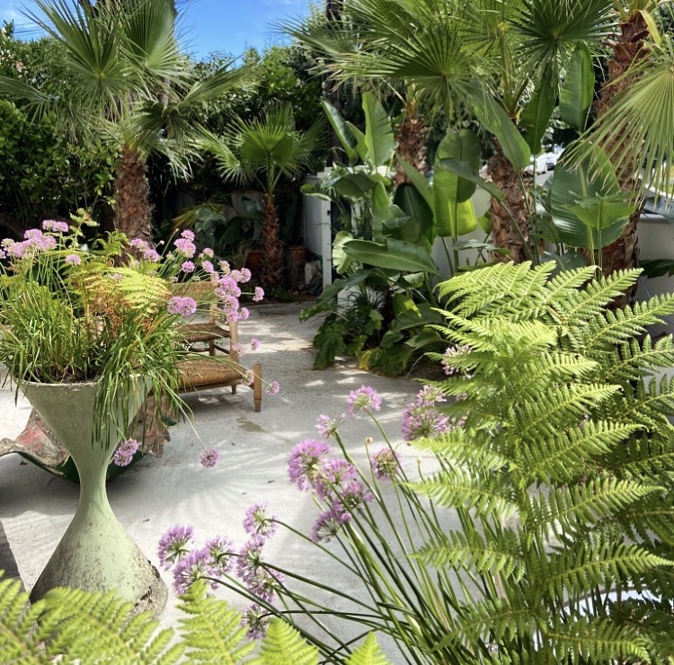 paysagiste luxe biarritz jardin haut de gamme jardin prestige biarritz sebastien habert